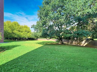 9e0901c0cd4c4c4ca77554bcf594739e.jpg